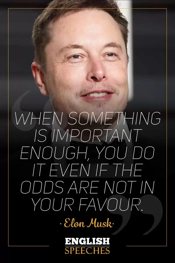 Elon Musk Quote